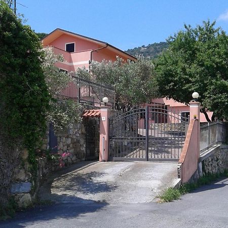 Appartamento In Magnifica Zona Residenziale Marina dʼMarina dʼAndora Eksteriør billede